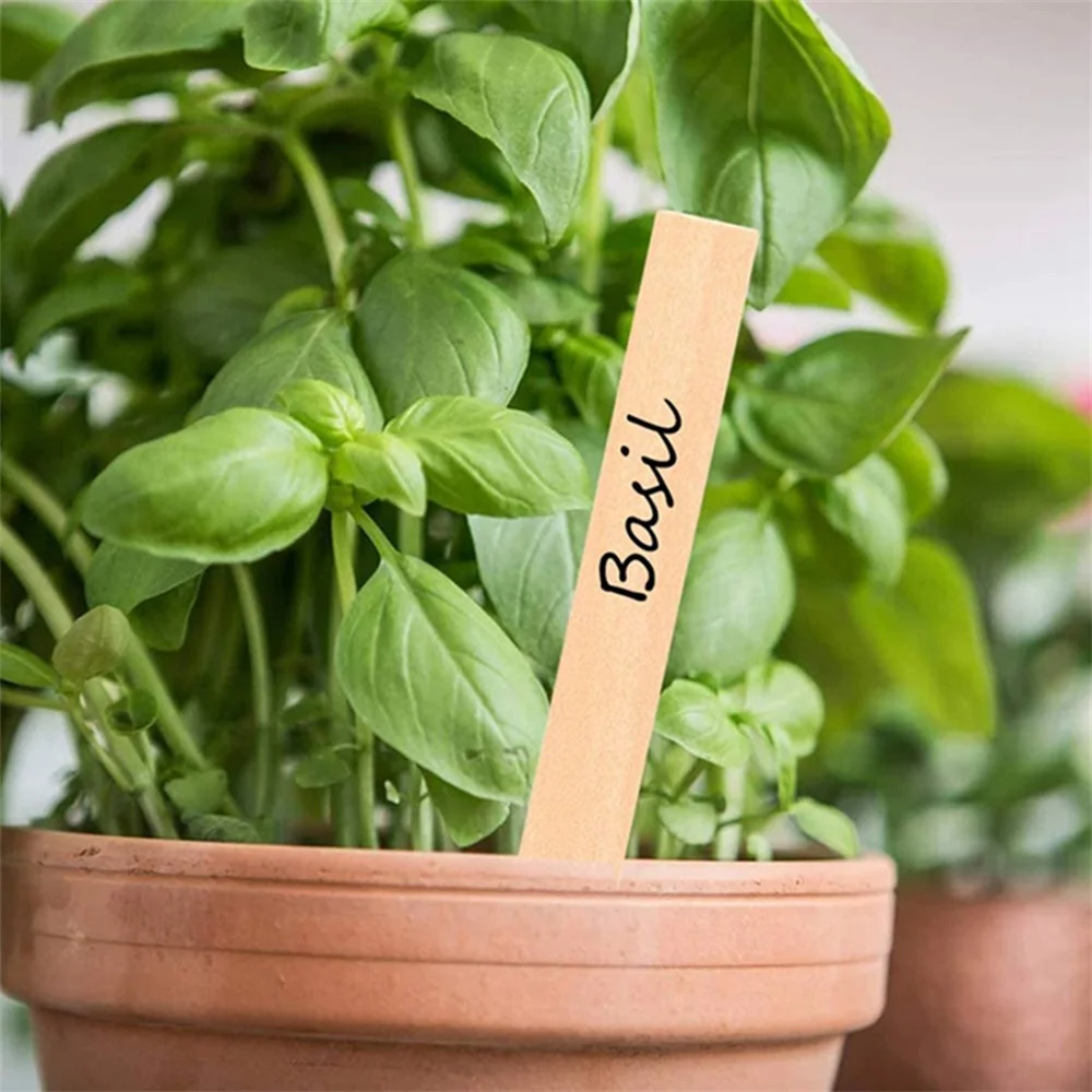 

Wood Plant Labels Eco-Friendly Wooden Plant Signage Card Tags Garden Markers For Seed Potted Herbs Flowers Vegetables Tools