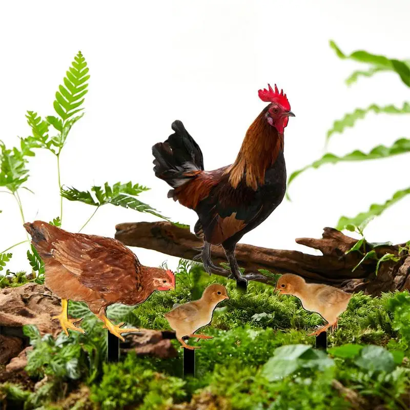 

Decorative Rooster Yard Stake Acrylic Rooster Yard Decoration Waterproof Outdoor Garden Decoration Rooster Decor Acrylic Yard