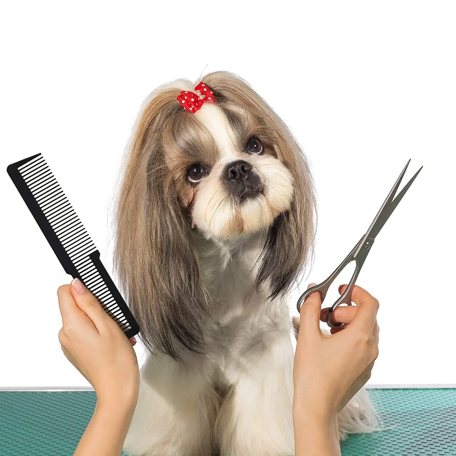 кошки и собаки стриженные. груминг стрижка собак и кошек. гигиеническая стрижка кошек. грумминг котов. кошки и собаки стриженные.