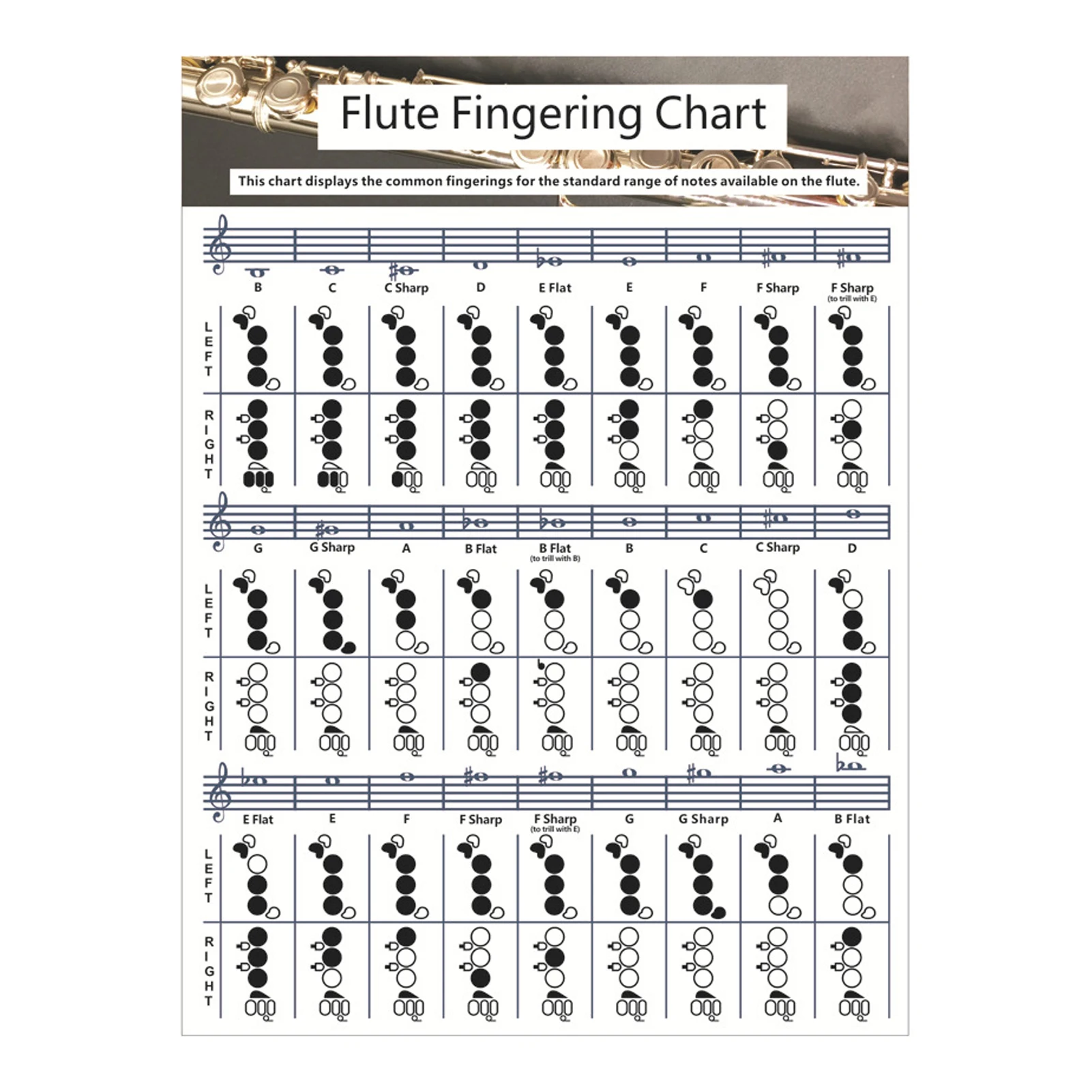 

Durable Parts Portable Chord Chart For Flute Smooth Key Tones Standard Notes Easy Understand Beginner Student Fingering Practice