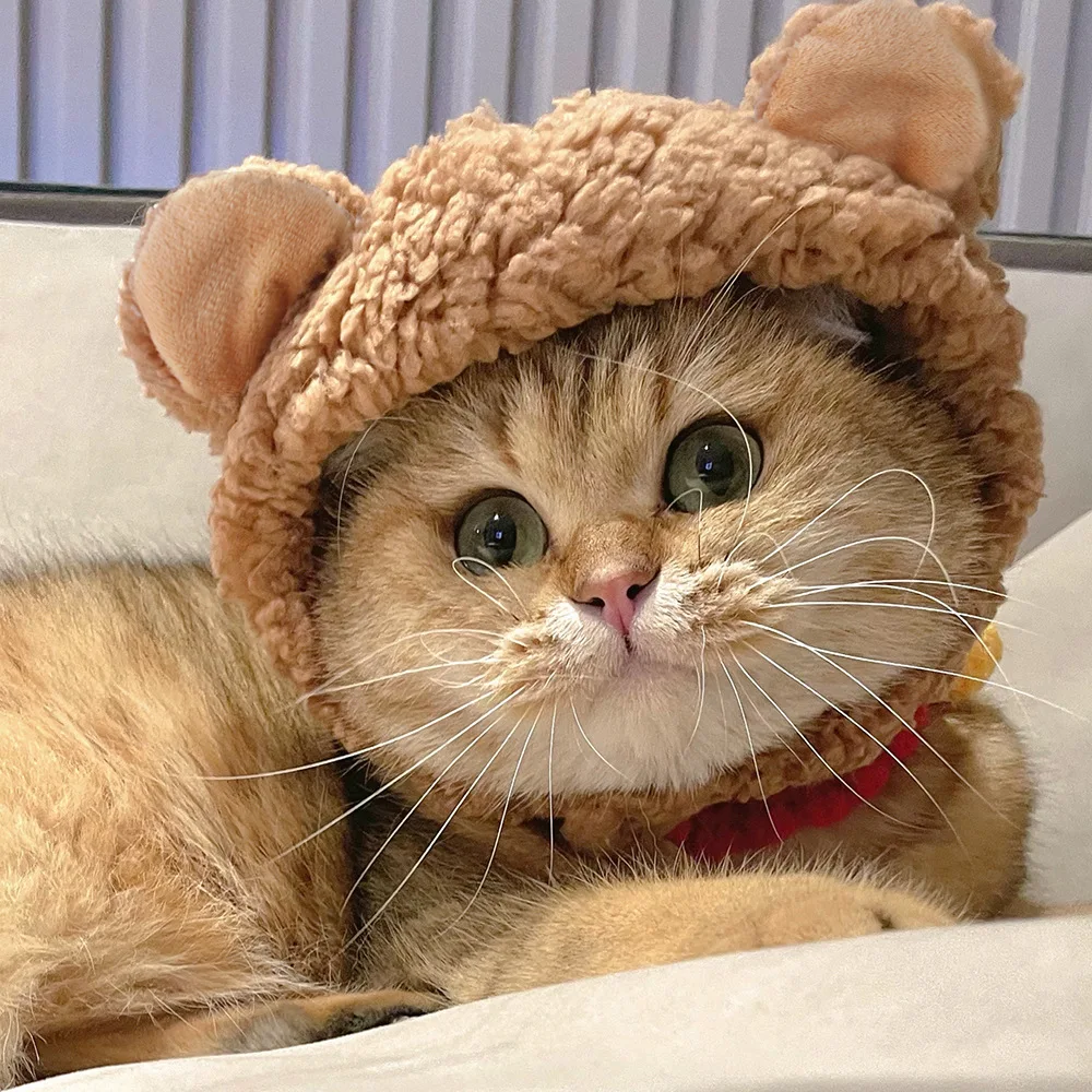 

Pet Dress Up Pet Bear Hat Teddy Dress Up Cute Bear Headwear Cat Head Cover Pet Cat Cat Head Set Dress Up Supplies
