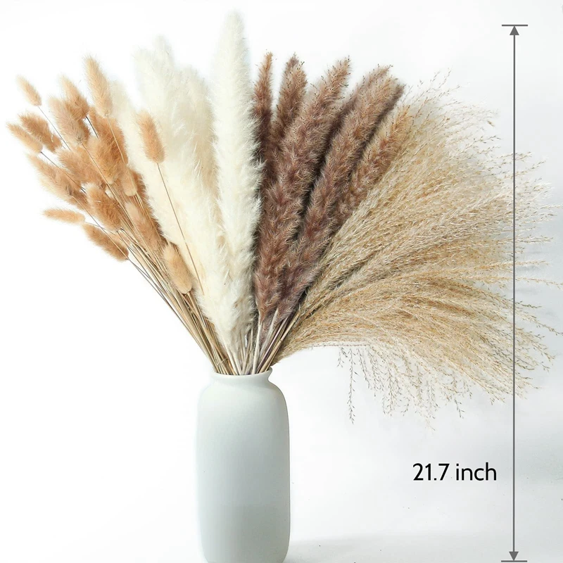 

100 PCS Dried Pampas Grass Decor Pampas Grass Bunny Tails Dried Flowers Reed Grass Bouquet for Wedding Party Boho Decor