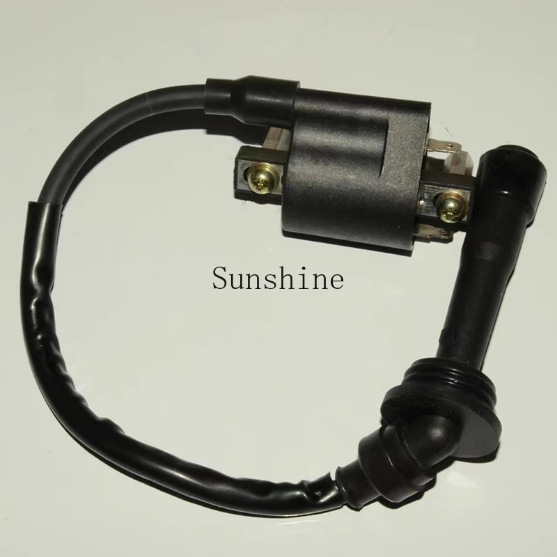 Подходит для Qianjiang Sai 250 Xiaohuanglong 250-15 Cub Xiaojinpeng 251 катушка зажигания высокого