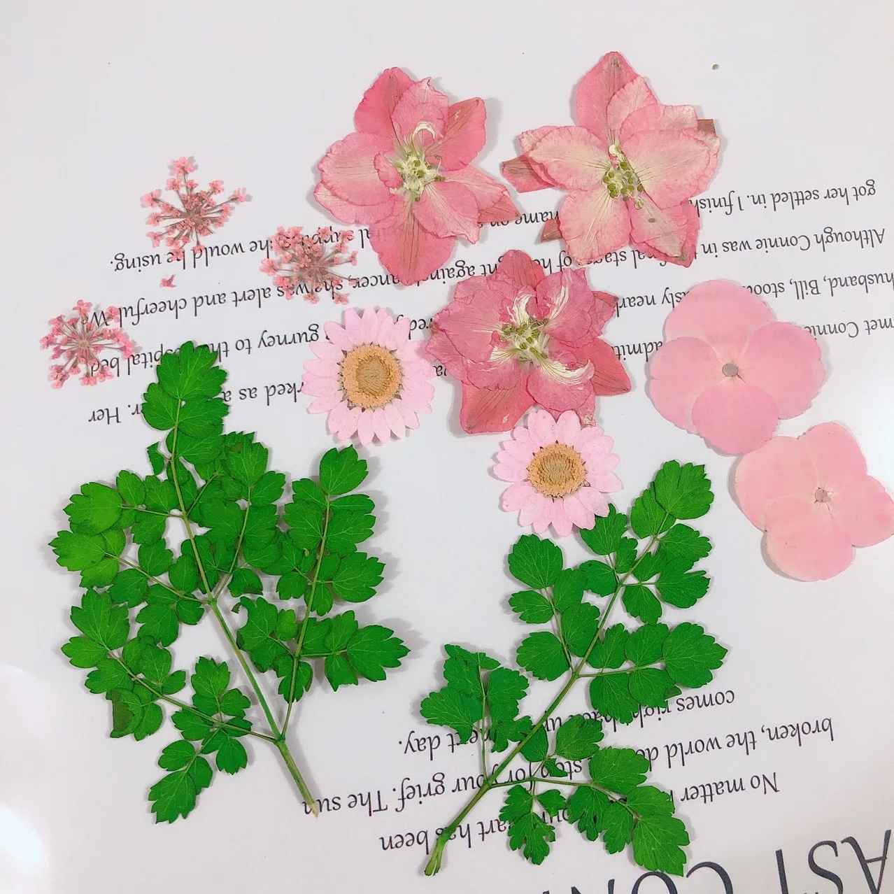 

Colorful Real Dried Flower Plant Epoxy Resin For Nail Art Aromatherapy Candle Soap Resin Jewelry Making Craft DIY Accessories