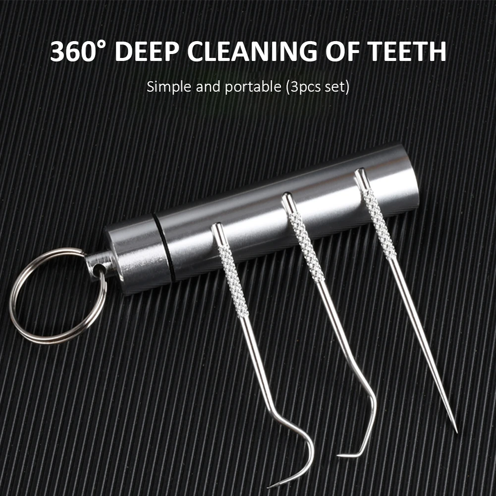 

3Pcs Toothpicks Pocket Set Stainless Steel Tooth Pick Sticks Fruit Fork Reusable Toothpick With Holder For Outdoor Camping