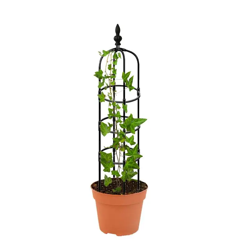 

Obelisk Plant Climbing Plant Vine Rack Plant Potted Support Frame Coated Steel Flower Vegetables Decorative Trellis Bracket