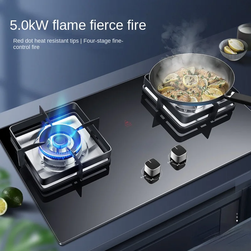 

Natural Gas gas cooker liquefied gas gas cooker double cooker household double cooker