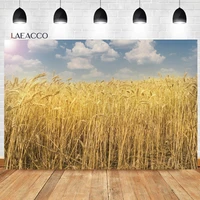 laeacco golden rye autumn scenery harvest wheat field photography background thanksgiving day adult kids portrait photo backdrop