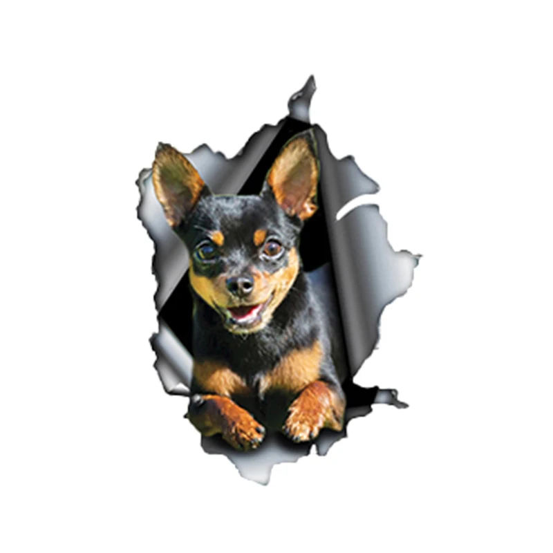 

M415# Car Sticker Black and tan Chihuahua Waterproof Vinyl Decal Car Accessories Pegatinas Para Coche DIY Car Styling
