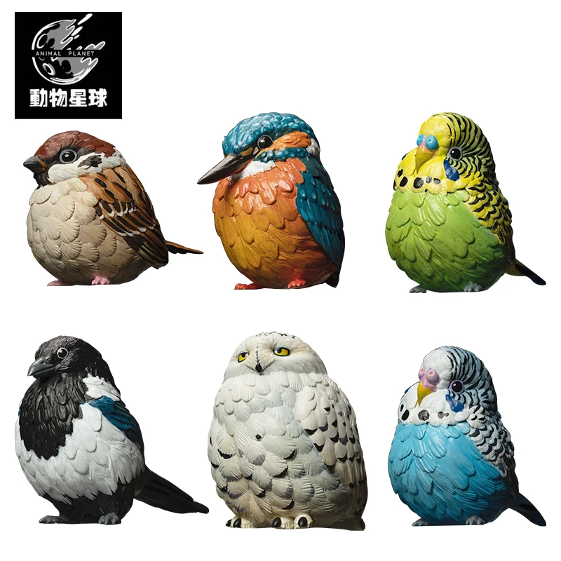 

Animal Planet A SERIES OF LAUGH AND GROW FAT Bird Bubo Scandiaca Passer Montanus Melopsittacus Undulatus Pica Pica Alcedo Atthis