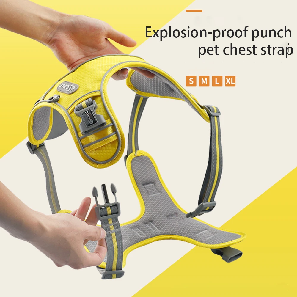 

Сетчатая шлейка-поводок для собак среднего и большого размера