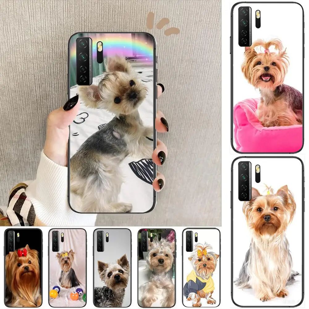 

Yorkshire Terrier Yorkie Dog Black Soft Cover The Pooh For Huawei Nova 8 7 6 SE 5T 7i 5i 5Z 5 4 4E 3 3i 3E 2i Pro Phone Case cas