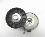 

Код магазина: 504086948 для подшипника натяжителя генератора DAILY IV