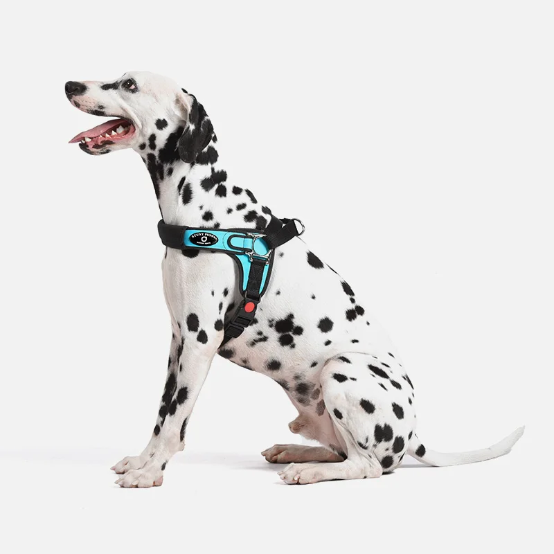 Stunt Puppy Шлейка-жилетка для собак кожаный поводок средних и больших питомцев