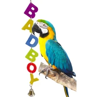parrot hanging alphabet string toy bite resistant chew toys with bell bird cage accessories pet supplies