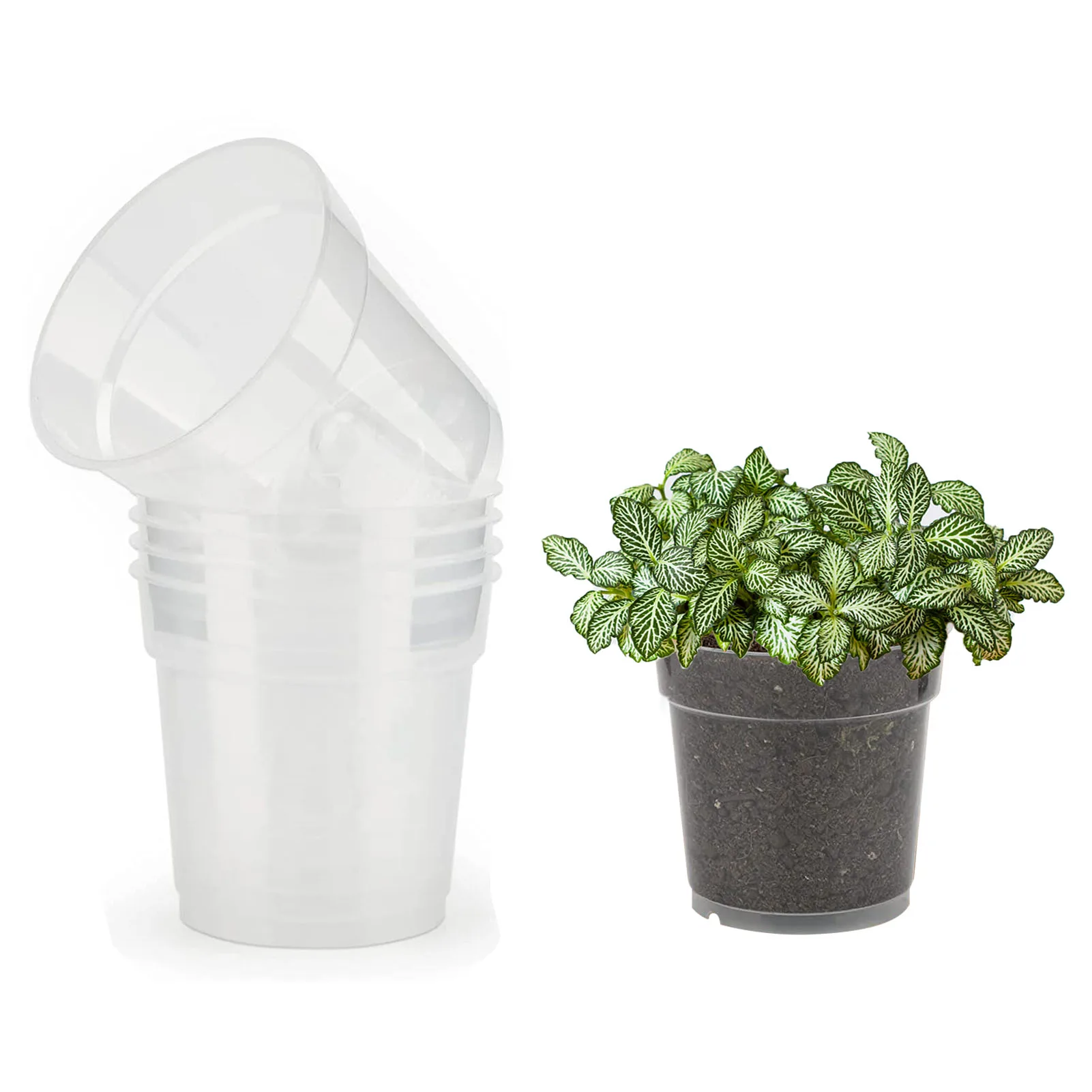 

Прозрачные горшки для детской комнаты, 6 шт., прозрачные маленькие горшки с дренажным отверстием, контейнеры для растений с 100 этикетками для...