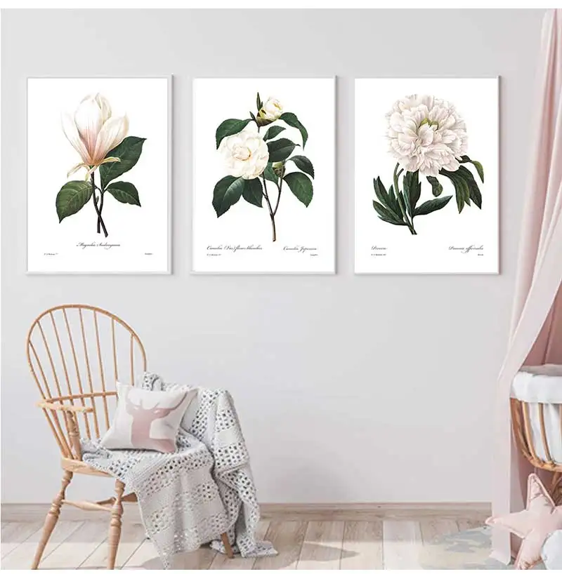 Постеры и принты розовых белых растений в цветочек ботаническая Картина на