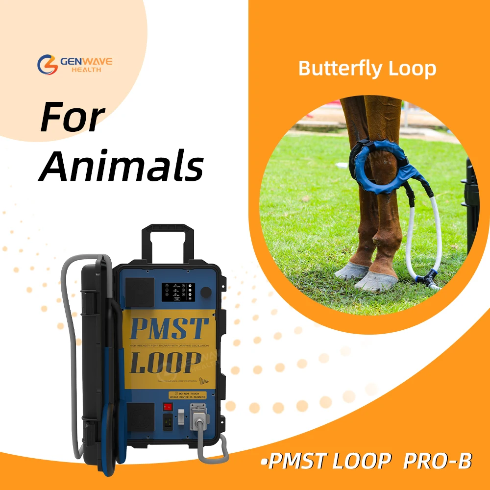 PMST Loop Physio Magneto Магнитотерапевтическое устройство для лечения подлинного