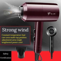 1600w quick drying hair dryer 220vhousehold appliances hot and cold air diffuser hairbrush shape negative ion hammer hair dryer