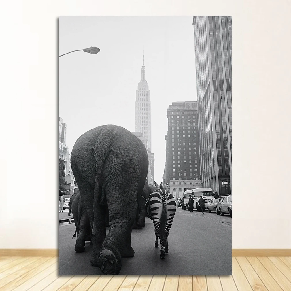 

Постер на холсте, живопись, зоопарк, слон, Зебра в Нью-Йорк, фотография, печать, домашний декор, животные, лама, винтажное настенное искусство