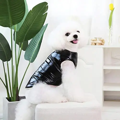 

Winter Pet Zipper Cotton Clothe Warm Coat for Dogs Winter cat Teddy Small Dog pet Two-Legged Clothing,Black