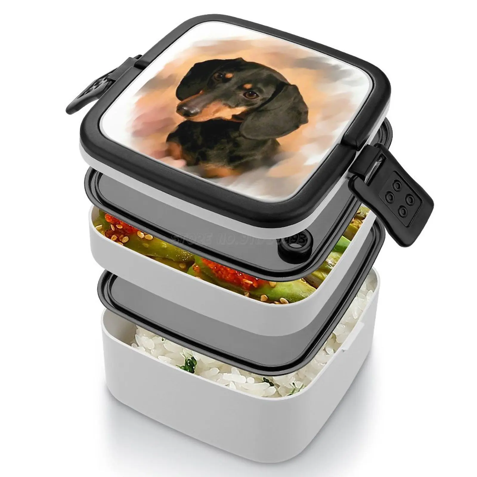 Собака Такса фото портрет бэнто коробка Герметичный пищевой контейнер для детей