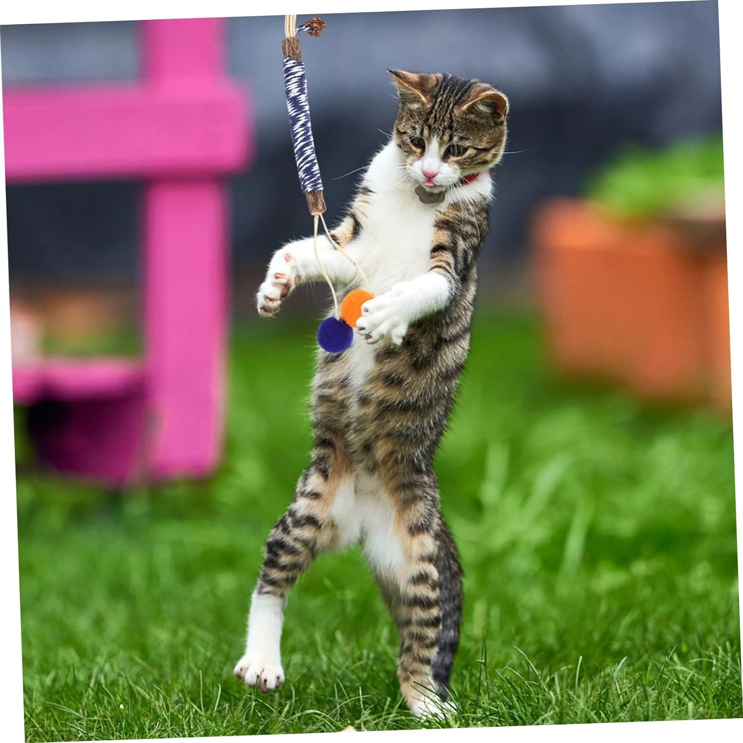 Роскошные интерактивные товары для домашних животных Премиум-Качества-повышают