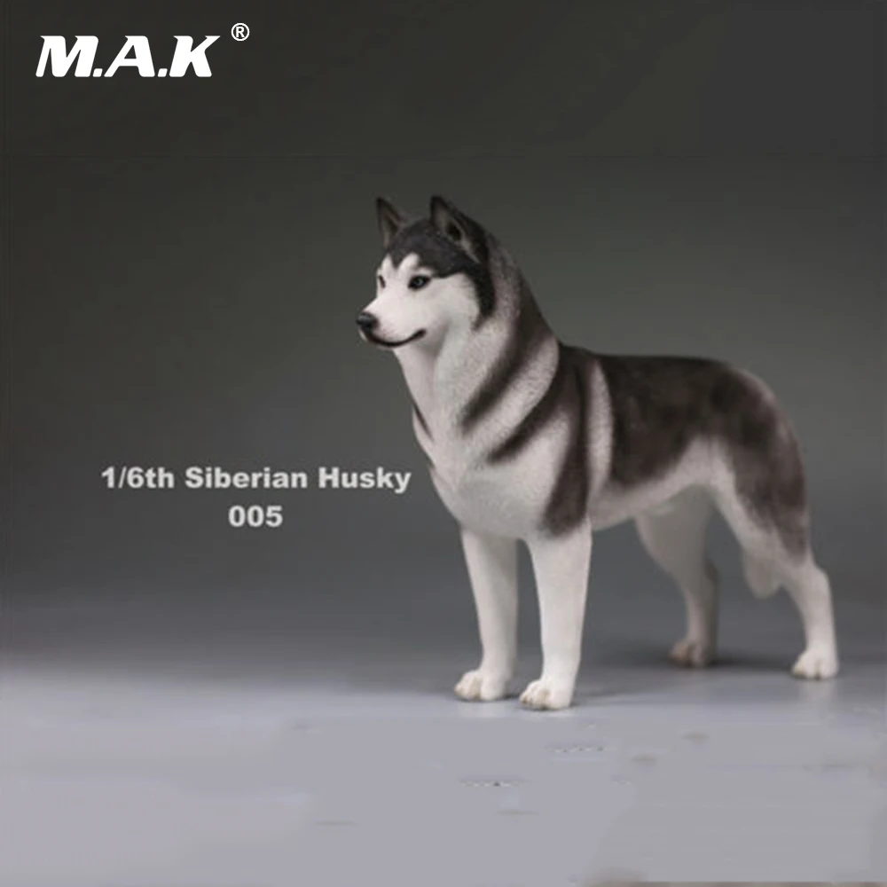 

1:6 Scale Pet Dog Model Action Figure Accessory Siberian Husky Simulation Animals Model Toys for 12'' Action Figure