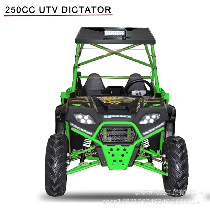 

Mini Moto 400cc Gasolina 2-4 Seat ATV 200cc Dune Off-Road UTV 4X4 Fuel Utility Kart with EEC EPA CE Certification