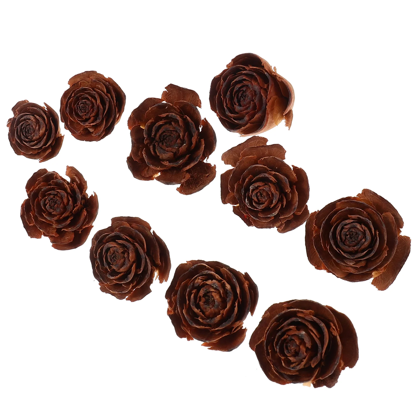 

10 Pcs Making Flowers DIY Materials Garland Decorations Decors Accessories Rose Garlands Dried Sample Crafts
