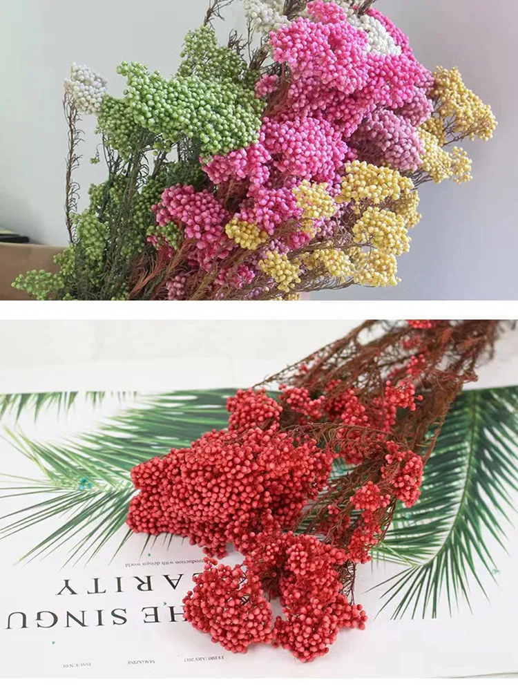 

50g Natural Millet Fruit Dried Flower living Room Decoration Wedding Decoration Bedroomwall Artificial Plants New Year Decoratio