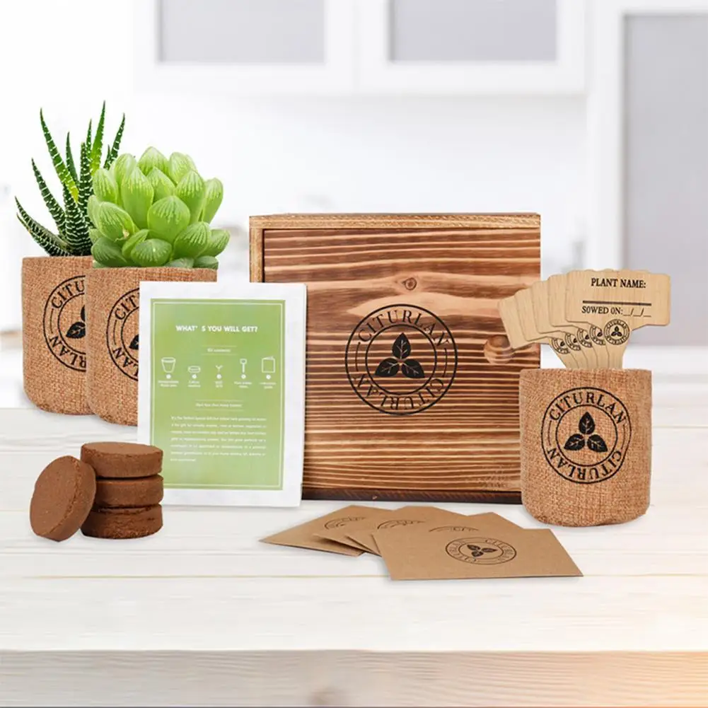 

1 Set Planting Kit Detachable Easy To Use Wooden Indoor Gardening Flower Pot Culture Bag Tool Household Supply Home Accessories