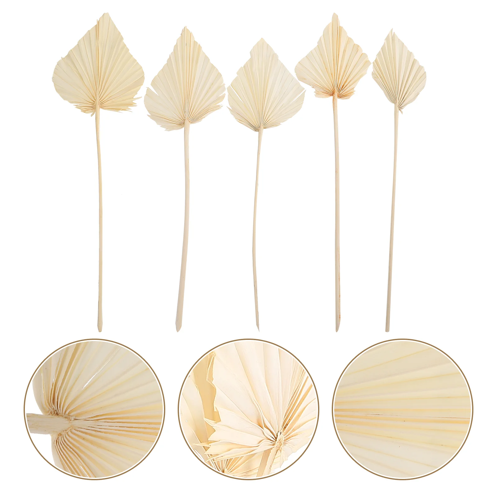 

5pcs Pampas Decoration Leaf Decors Party Layout Leaf Ornaments Wedding Party Decors