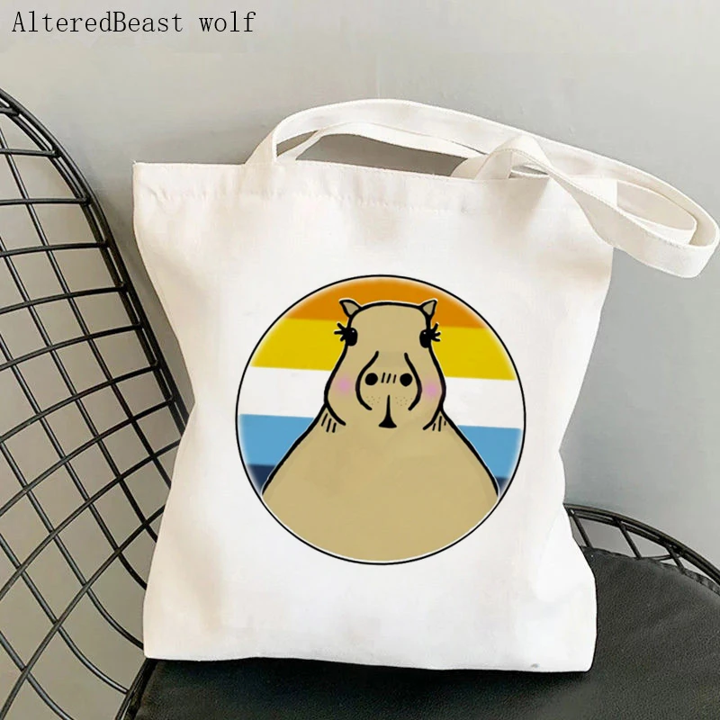 

Women Shopper bag Cute Capybara In Aroace Pride LGBT Bag Harajuku Shopping Canvas Shopper Bag girl handbag Shoulder Lady Bag