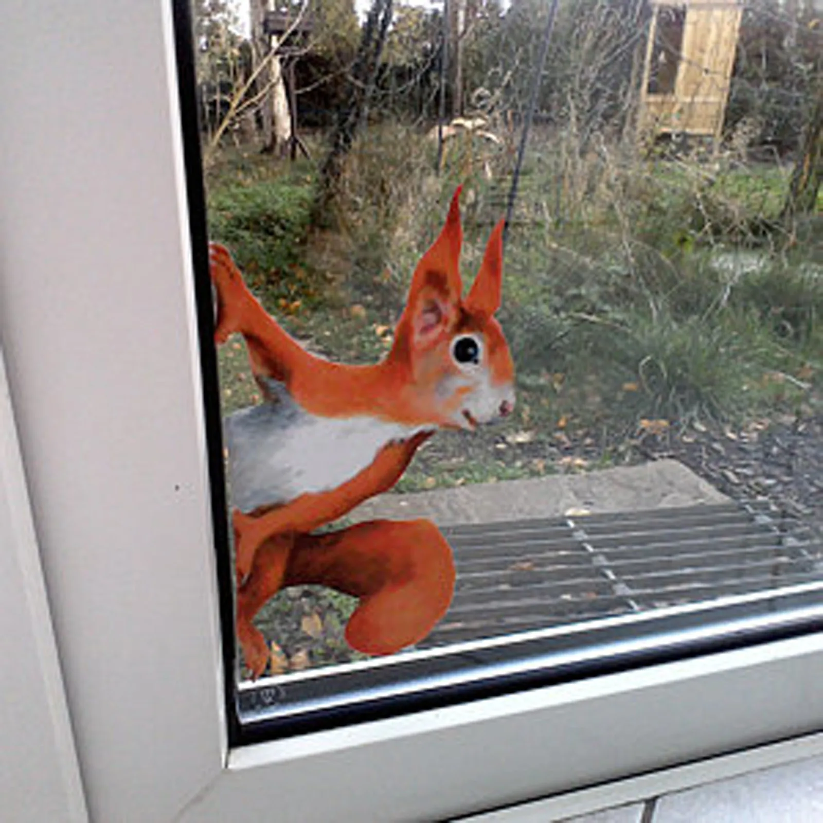 

1/3/5pcs Wall Stickers Peeping Squirrel Wall Decal Cartoon Animal Window Sticker Creative Wallpaper And Poster Home Decorations