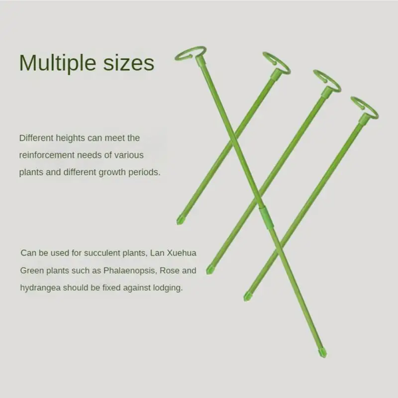 

Plant Support Packs Plant Support Stake Garden Single Stemmed Plant Support Hoops Plant Prop For Flowers Orchid Tomatoes