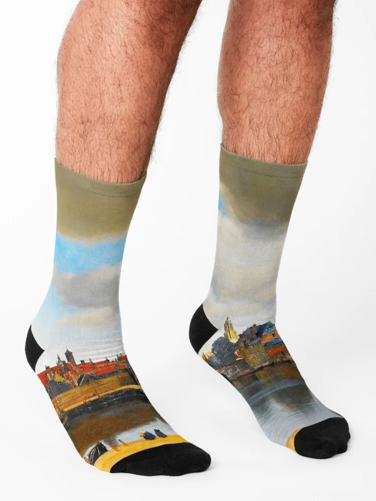 Женские и мужские противоскользящие носки Johann VERMEER - View of Delft 1660 1661