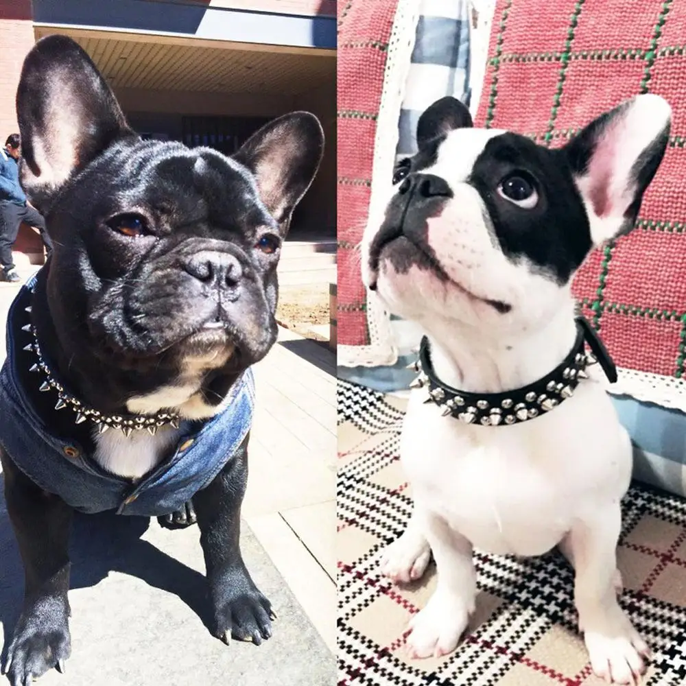 Новый брендовый Забавный ошейник для питомца из искусственной кожи собак с