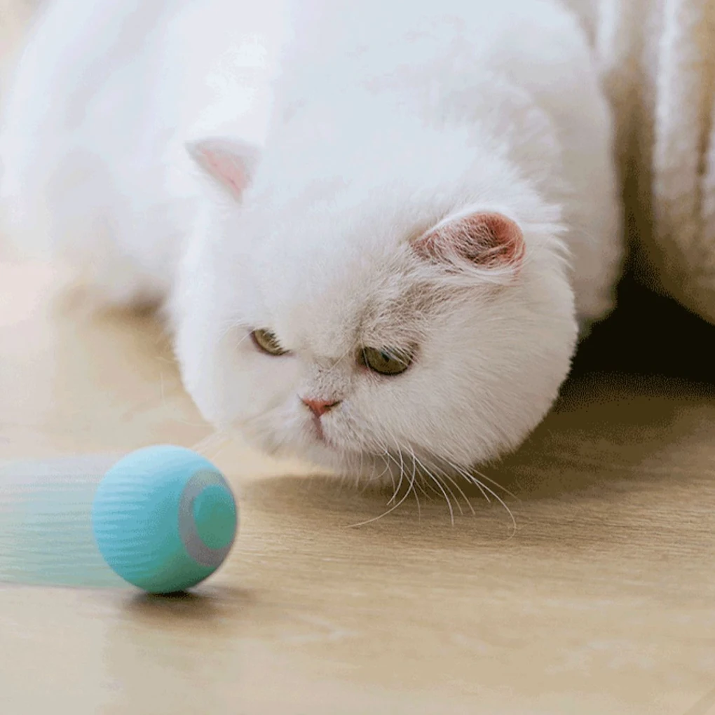 

Круглые умные игрушки для кошек, силиконовые тихие интерактивные Коты, забавные, легкие, тренировочные, самодвижущиеся мячи, английском
