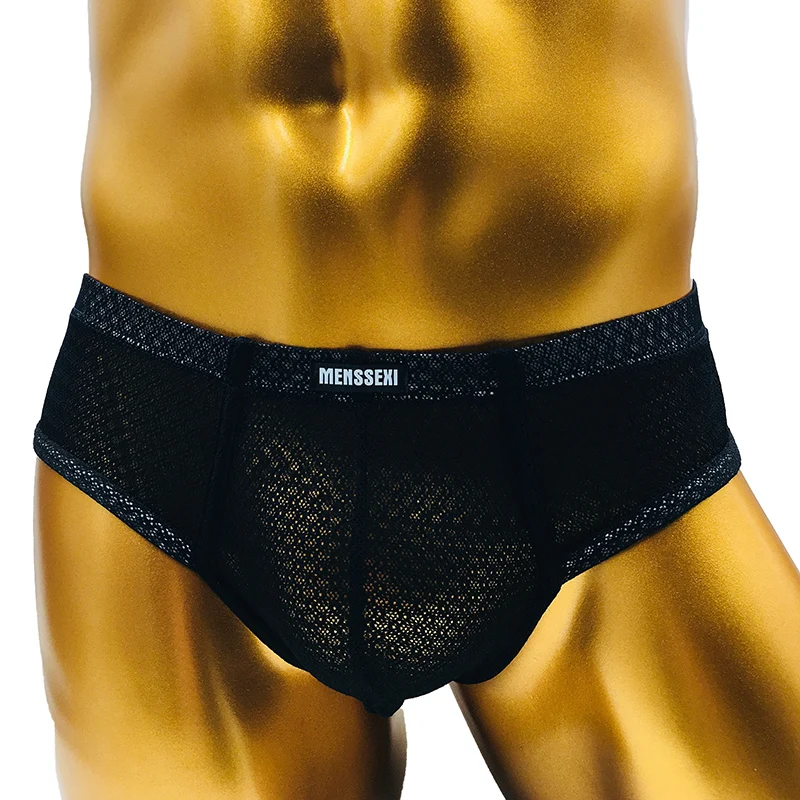 

AIIOU Sexy Mesh Mens Panties See Through Underwear Temptation Low Waist Underpants Breathable Comfortable Briefs Erotic Lingerie