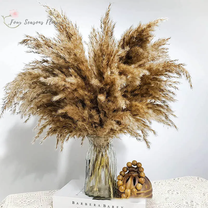 

10/25Pcs Small Pampas Grass Natural Dried Flowers Bouquets Reed Wedding Boho Home Decor Artificial Plants Christma Decoration