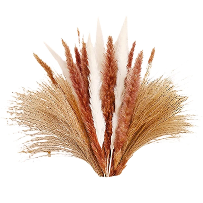 

Пампасная трава, Натуральные сушеные цветы, пампасная трава, украшение, натуральная сухая пампасная трава для свадебного декора, домашний д...