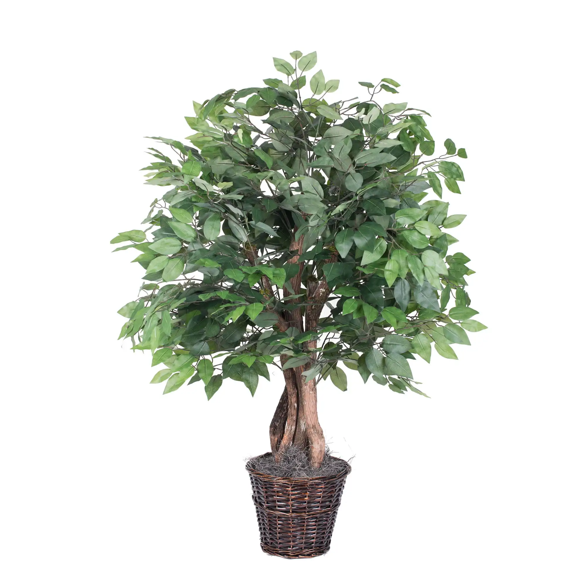 

4' Artificial Ficus Extra Full in Rattan Basket