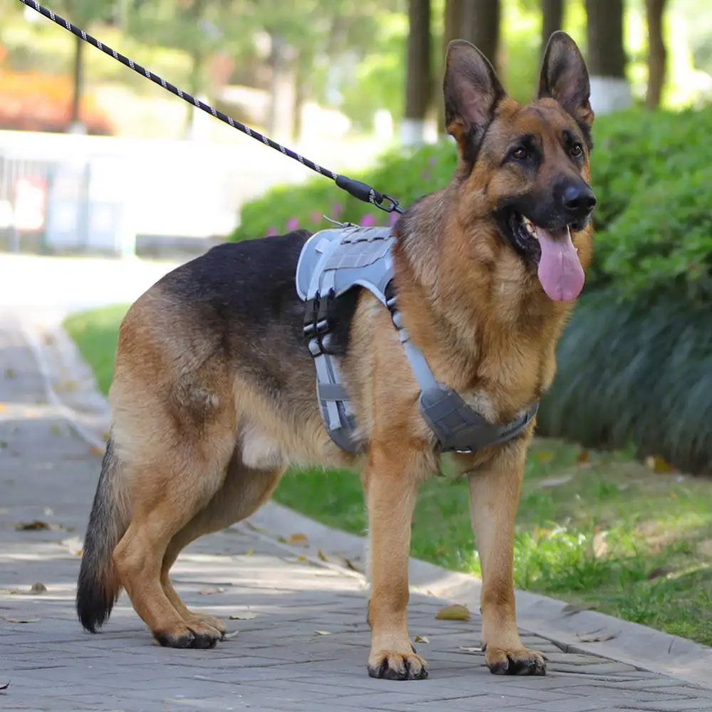 

Pet Dogs Harness Collar Oxford Cloth Dog Adjustable Vest Walking Lead Breathable Puppy Harness For Dog Pet Walking Running Leads
