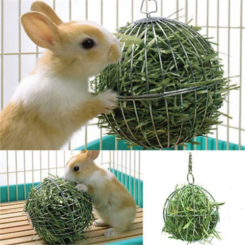 

Stainless Steel Round Feed Exercise Hanging Ball Grass Ball Pet Toy