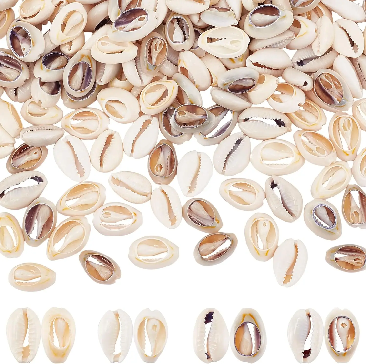 

Ракушки каури для рукоделия