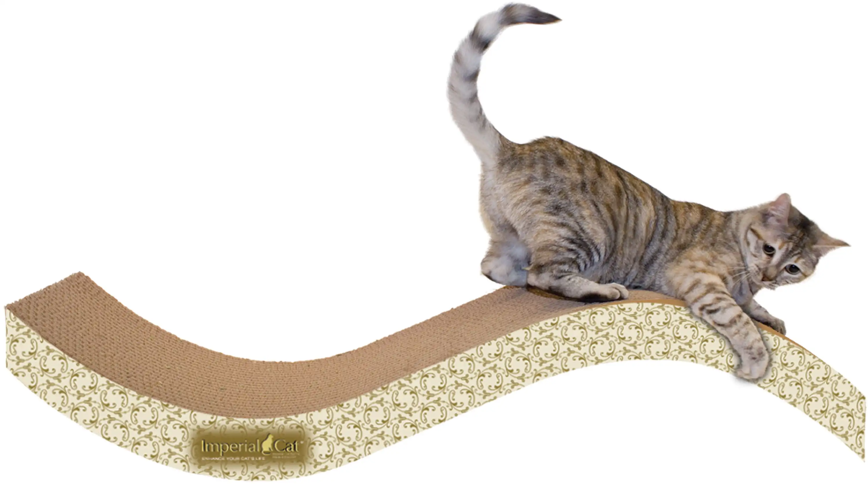 

Scratch 'n Shapes Giant Purrfect Stretch - Paisley