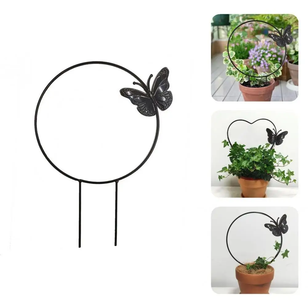 

Portable Attractive Stable Anti-cracking Stem Climbing Ring Metal Plant Climbing Ring Exquisite for Home