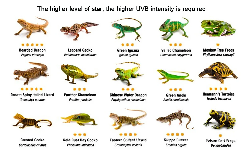 Лампа для черепах, ящериц, змей и игуан Reptile UVB 5.0 10.0 для нагрева, обеспечения кальцием и экономии энергии, светильник для суккулентов E27.