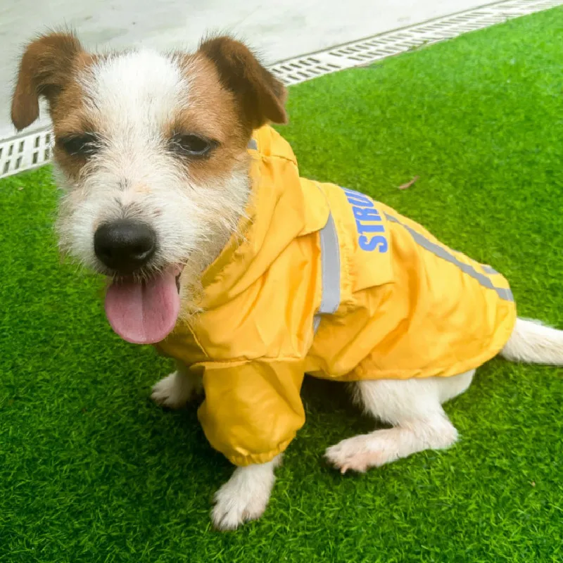 

Dog Raincoat Reflective Dog Waterproof Clothing Pomeranian Poodle Bichon Schnauzer Pug French Bulldog Clothing Coat Pet Outfit